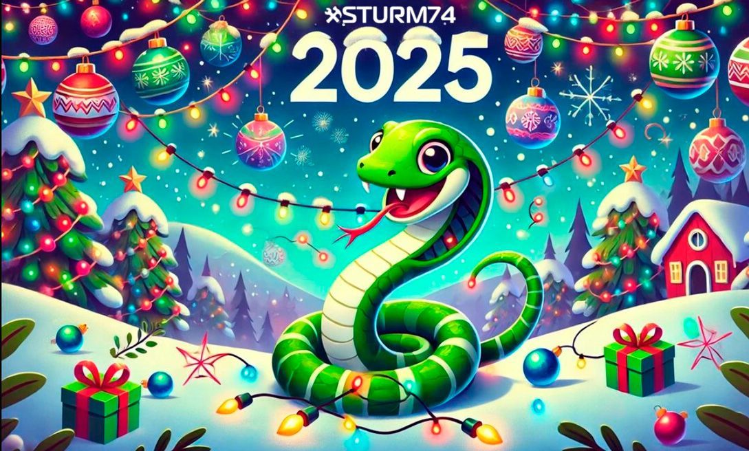    2025 !