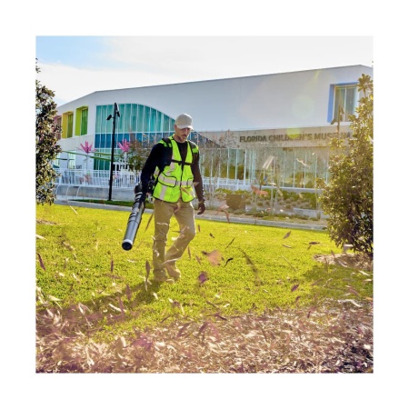 ������������ �������������� �������� Greenworks GD82BP2 (82V, ��� ��� � ��) 2408307