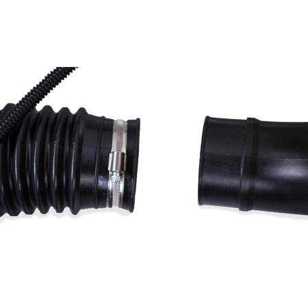 ������������ ���������� Champion GBR333