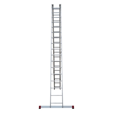      NV 1230, 317 (1230317)