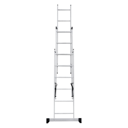      NV 1230, 36 (1230306)