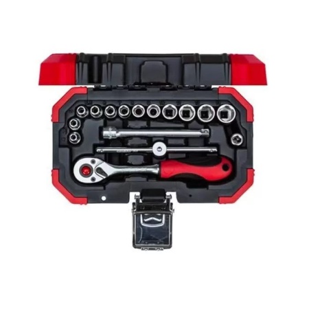    Gedore carolus (1619M01058)