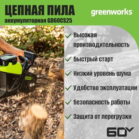 ���� ������ �������������� Greenworks GD60CS25K4 (60V, 2500��, 40��, ����., 4�/�, ��) 2008907UB