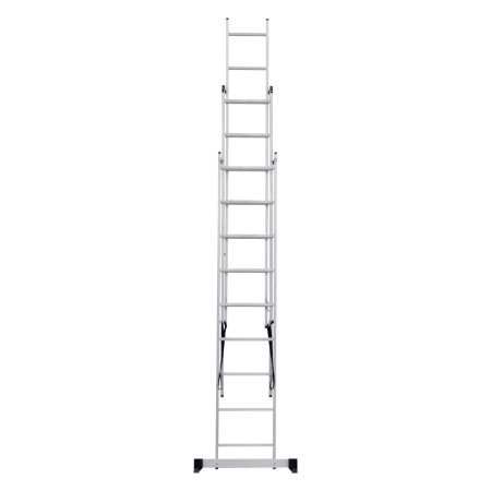      NV 1230, 39 (1230309)