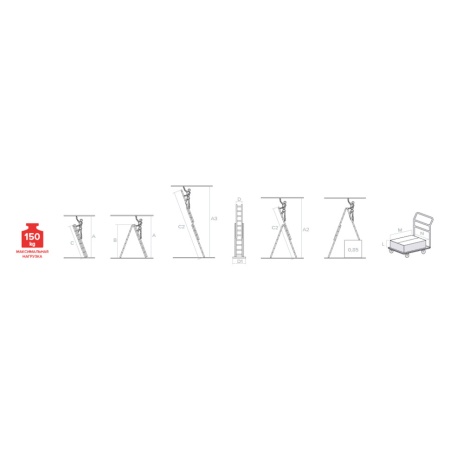      NV 1230, 36 (1230306)