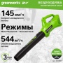   Greenworks G24AB (   ) 2404807