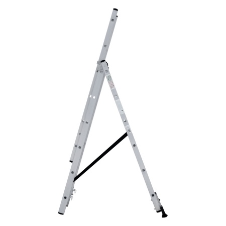      NV 1230, 36 (1230306)