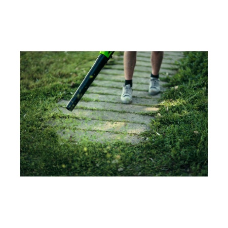   Greenworks G40AB (   ) 2400807