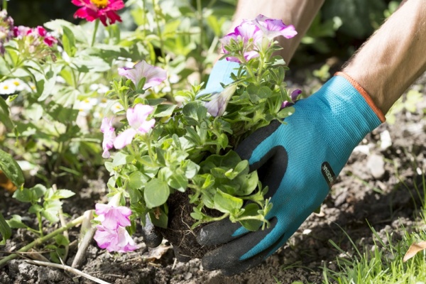 Перчатки садовые GARDENA (р-р 7) для работы с почвой 00205-20.000.00, 00205-20.000.00 Перчатки садовые GARDENA (р-р 7) для работы с почвой 00205-20.000.00