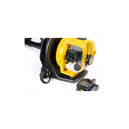 ������������ ���������� Champion GBR333