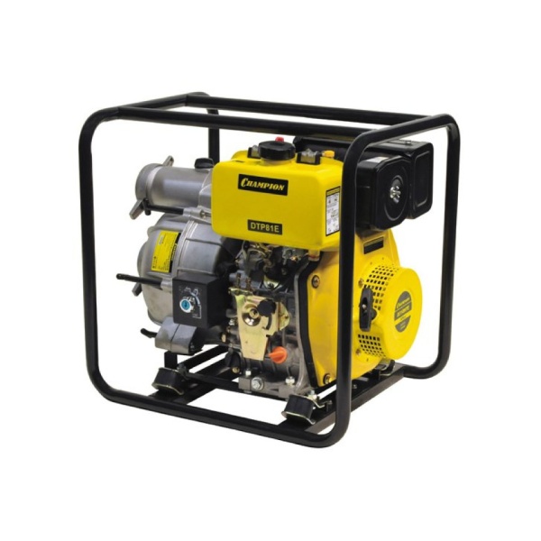      Champion DTP81E