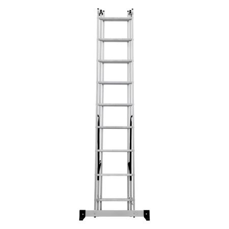      NV 1230, 39 (1230309)