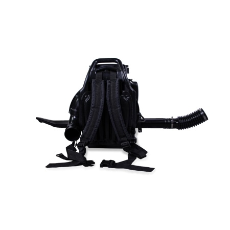 ������������ ���������� Champion GBR376