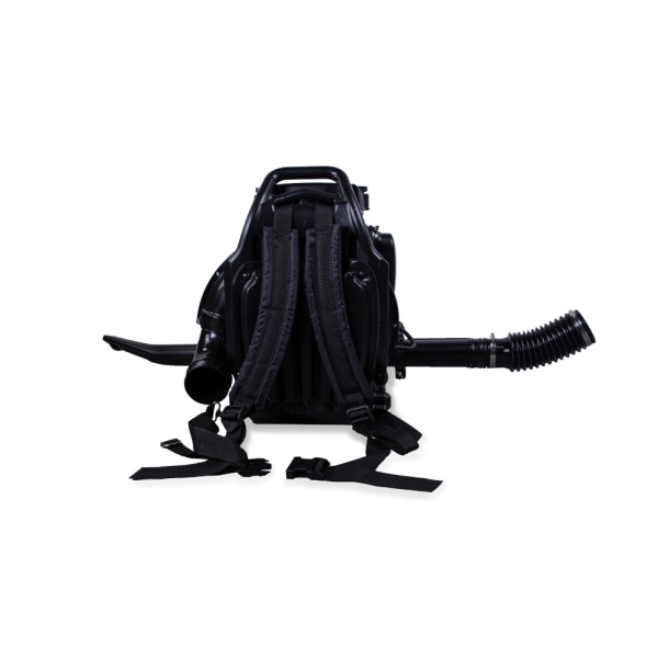 ������������ ���������� Champion GBR376