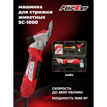      Forza SC-1000 (FZ11.06.01.005)