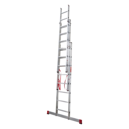        NV 3230, 38 (3230308)