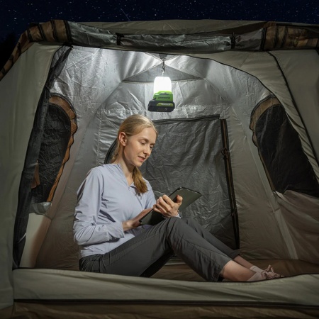 ������ �������������� Greenworks G24LA500 (��� ��� � ��) 3501007