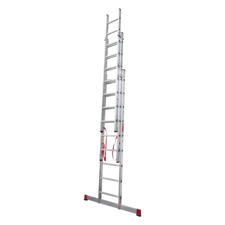        NV 3230, 39 (3230309)