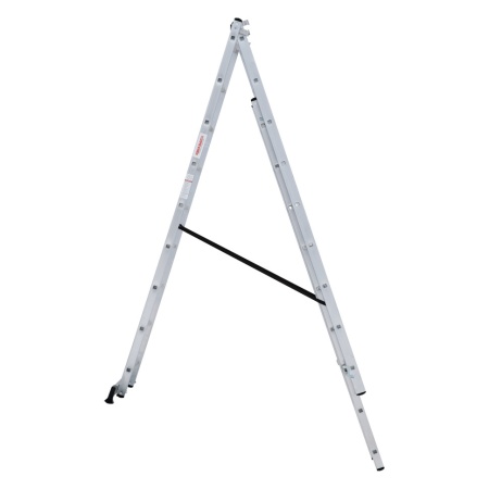      NV 1230, 39 (1230309)