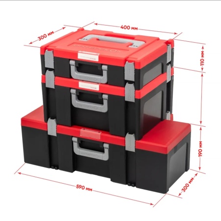 ���� ��������� ���������� 100 (�����) (2407.100)