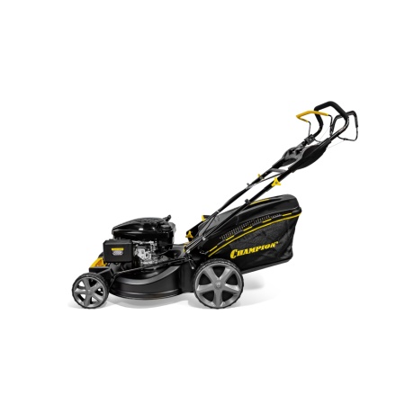 ������������� ���������� ���������� Champion LM5344