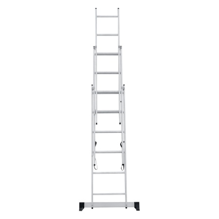      NV 1230, 36 (1230306)