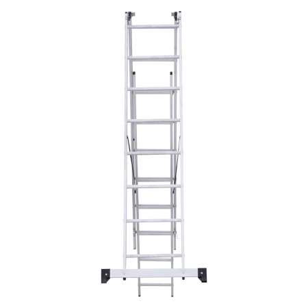      NV 1230, 38 (1230308)