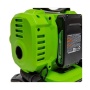    GREENWORKS ACG301 (   ) 3400807