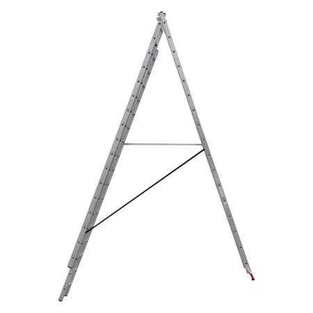      NV 1230, 317 (1230317)