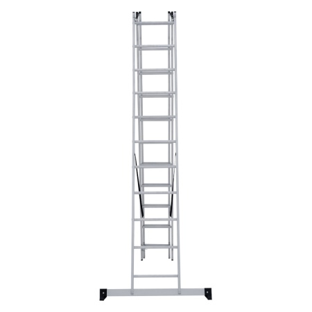      NV 1230, 311 (1230311)