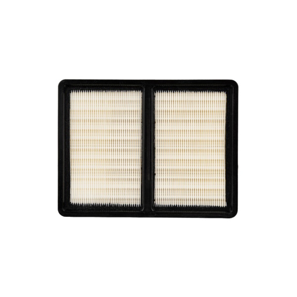    DIAM EX-P30 AUTO (HEPA) 620110