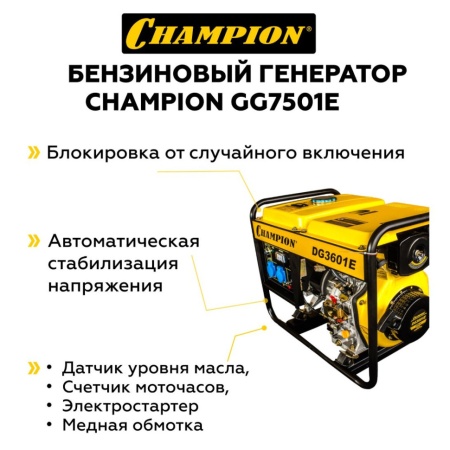   CHAMPION DG3601E