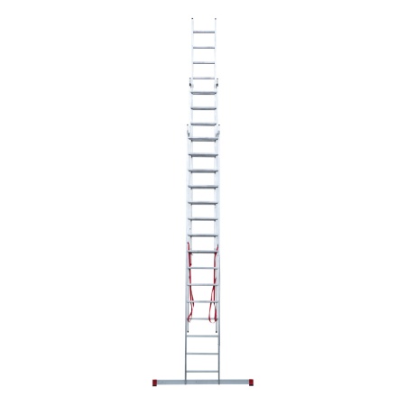        NV 3231, 315 (3231315)