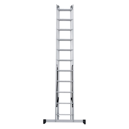      NV 1230, 311 (1230311)