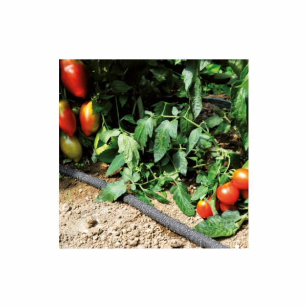 ����� ��������� 1/2", 25�, FITT ECODROP (95400.30525.07112)