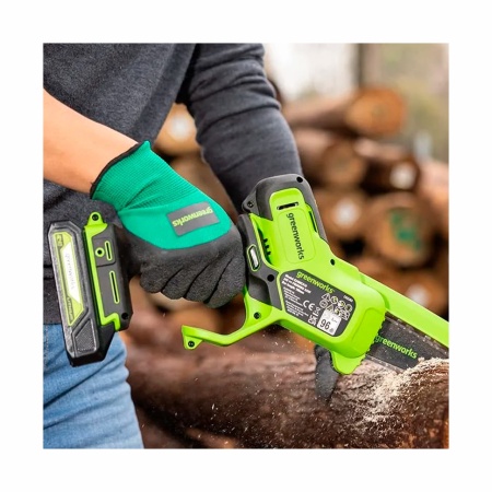     Greenworks G24MCS10 (   ) 2008207