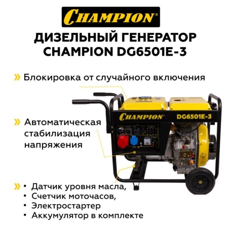   CHAMPION DG6501E-3