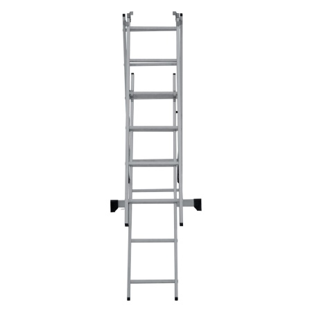      NV 1230, 36 (1230306)