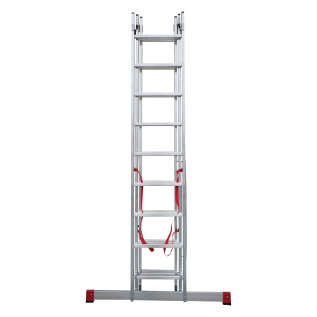        NV 3230, 39 (3230309)