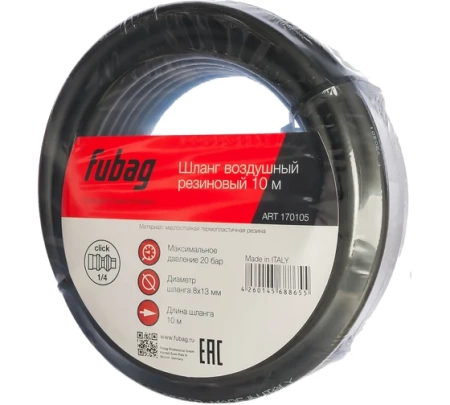    10 Fubag 170105