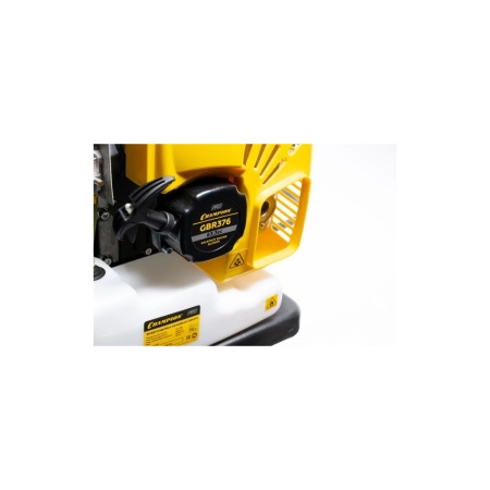 ������������ ���������� Champion GBR376