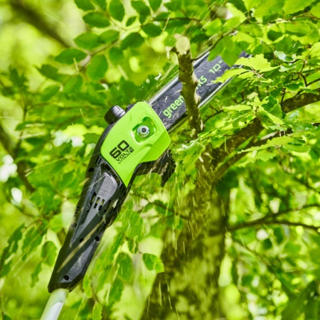 ��������� (��������) �������������� Greenworks GD60PS25 (1402107) (60V, 25��, 279��, ��� ��� � ��)