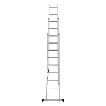      NV 1230, 39 (1230309)