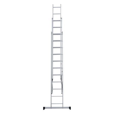      NV 1230, 311 (1230311)