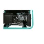 Генератор бензиновый STURM PG8765N, PG8765N Генератор бензиновый STURM PG8765N
