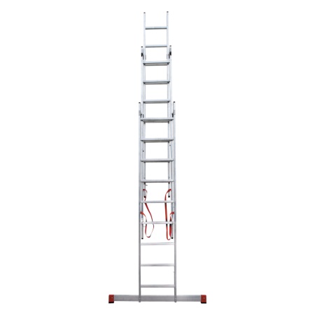        NV 3230, 39 (3230309)