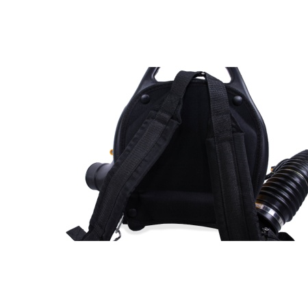 ������������ ���������� Champion GBR333