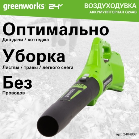   Greenworks G24AB (   ) 2404807