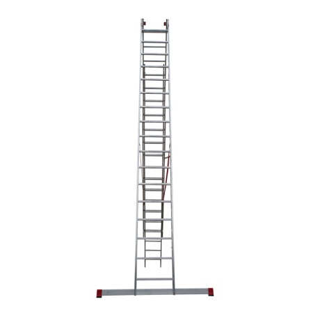        NV 3231, 317 (3231317)