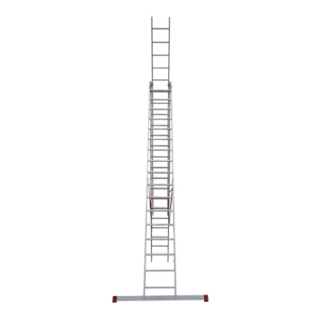        NV 3231, 317 (3231317)